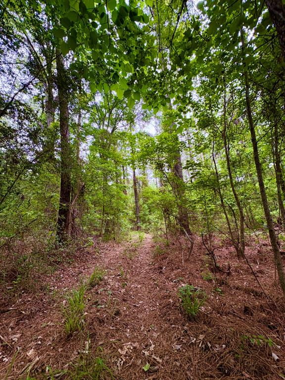 Tbd County Road 4504 Property Photo 11