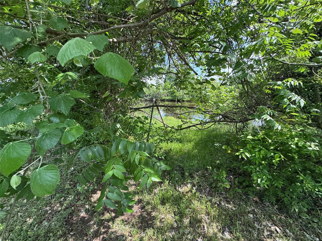 806 Old Base Road Property Photo 19