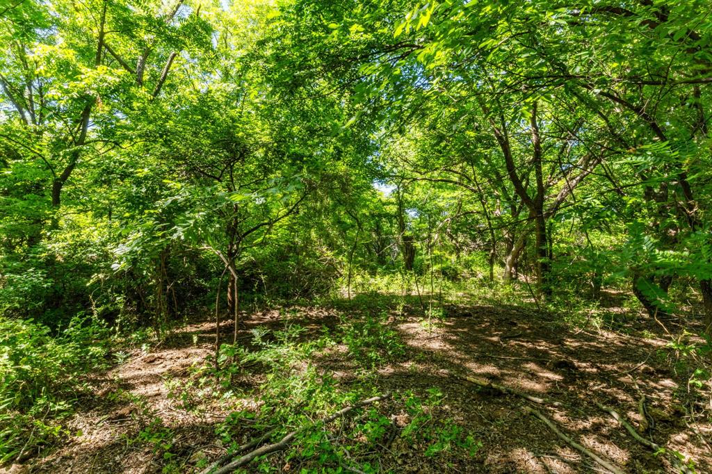 Tbd Highway 82 623.3 Property Photo 17