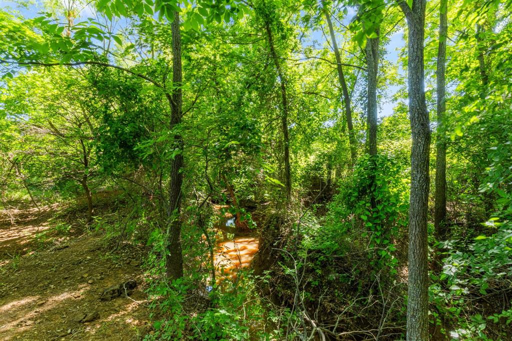 Tbd Highway 82 623.3 Property Photo 18