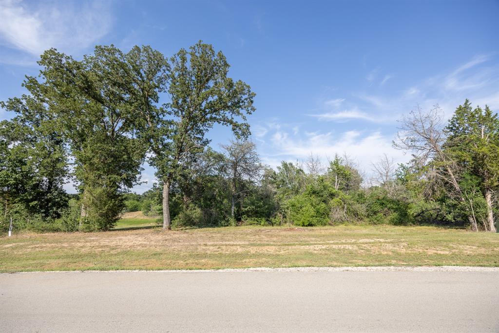 Lot 81 Diamond Point Property Photo 7