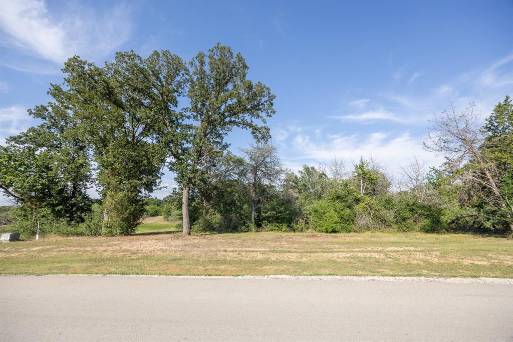 Lot 81 Diamond Point Property Photo 8