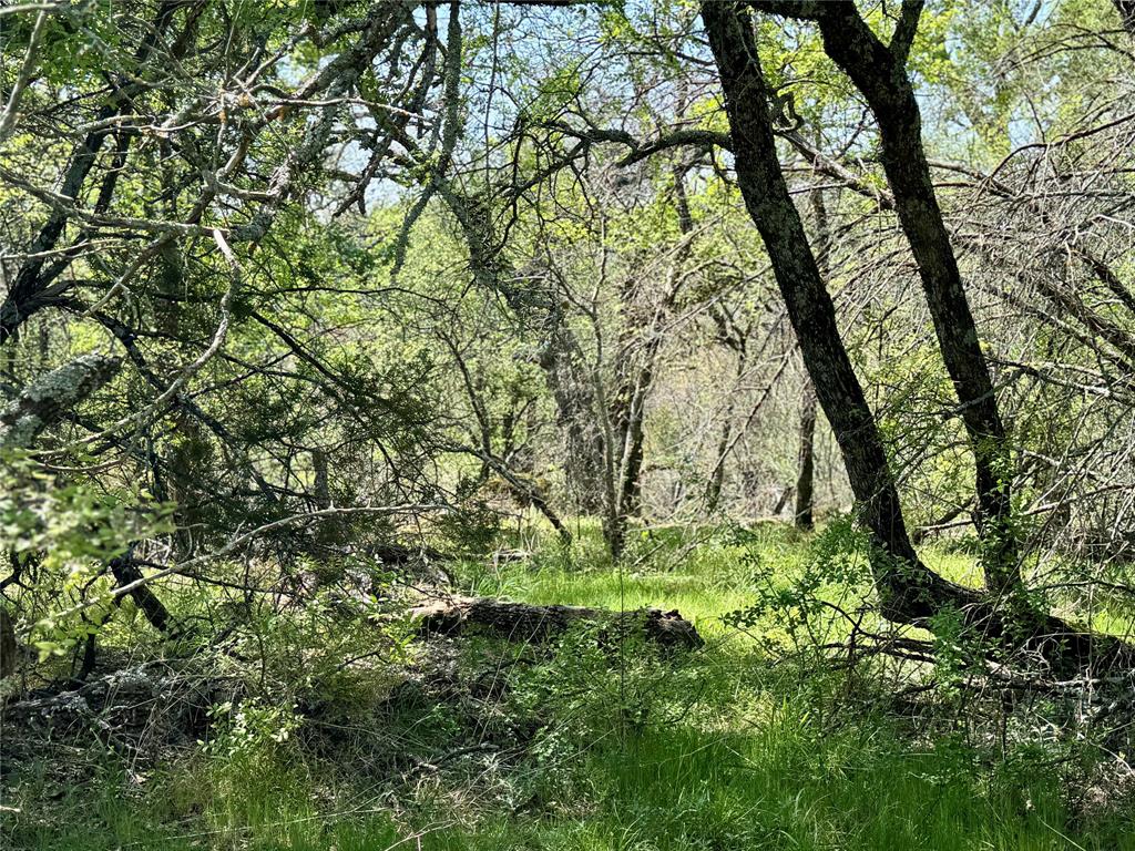 Tbd Fm 1885 Property Photo 2