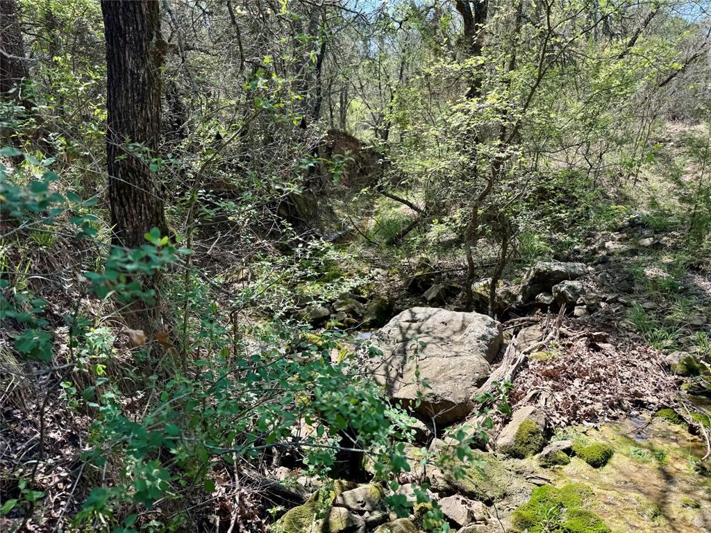 Tbd Fm 1885 Property Photo 3