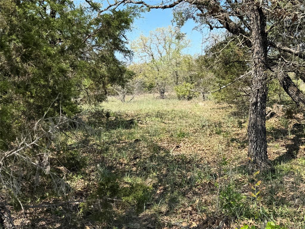 Tbd Fm 1885 Property Photo 4