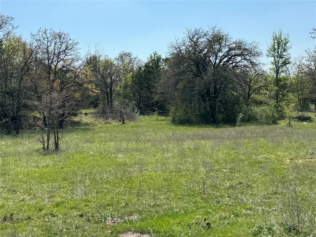 Tbd Fm 1885 Property Photo 6