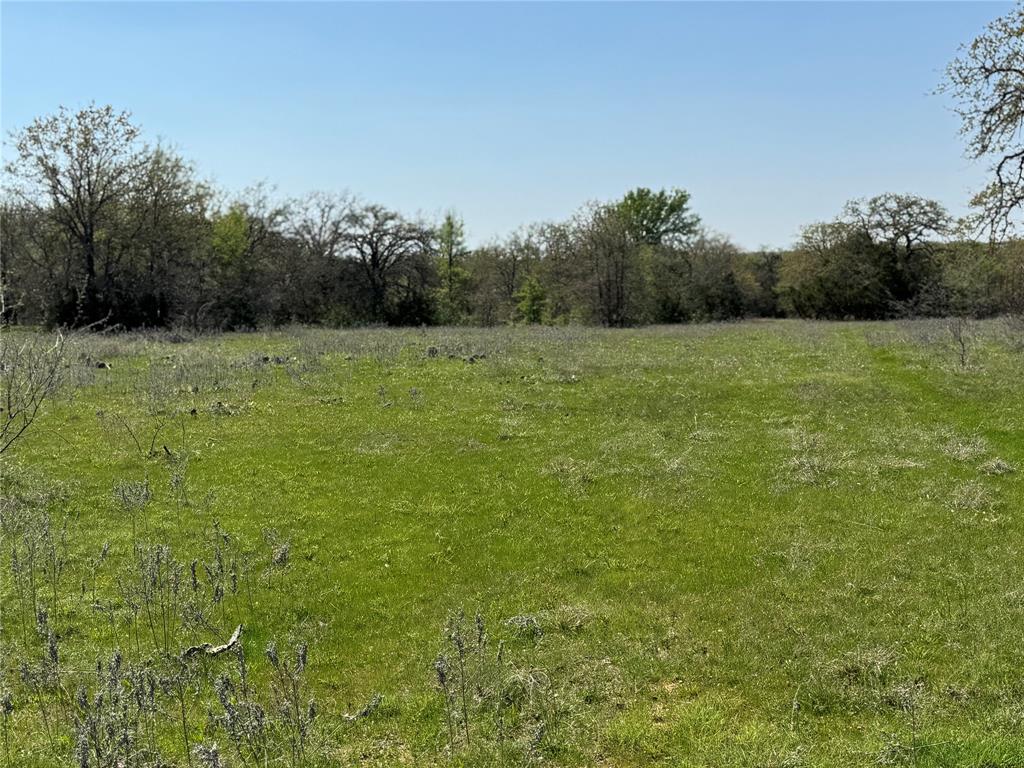 Tbd Fm 1885 Property Photo 7
