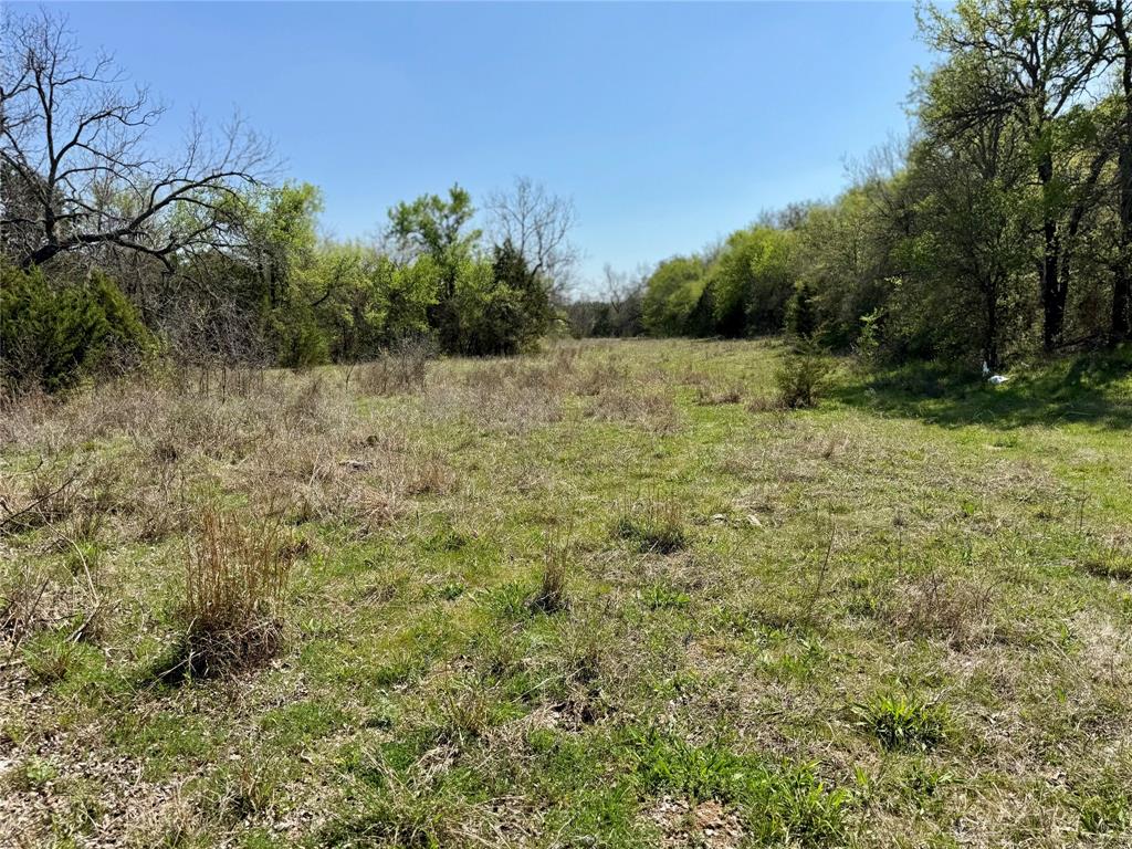 Tbd Fm 1885 Property Photo 8
