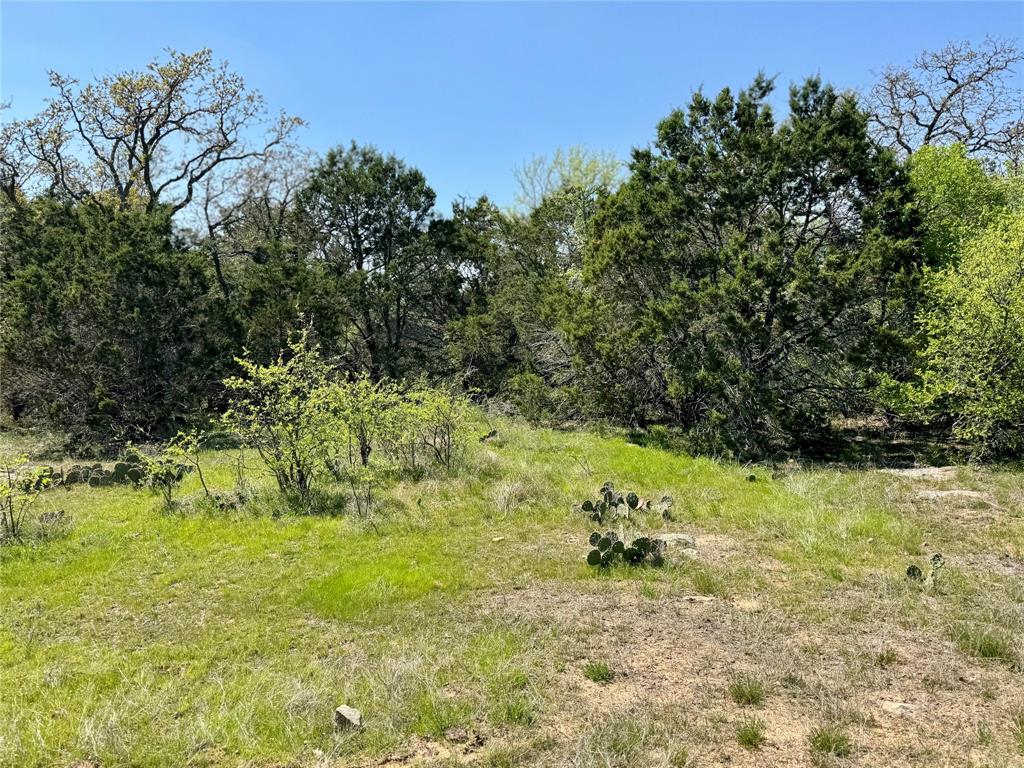 Tbd Fm 1885 Property Photo 10