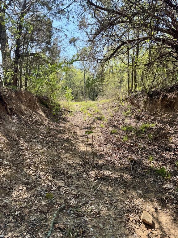 Tbd Fm 1885 Property Photo 11