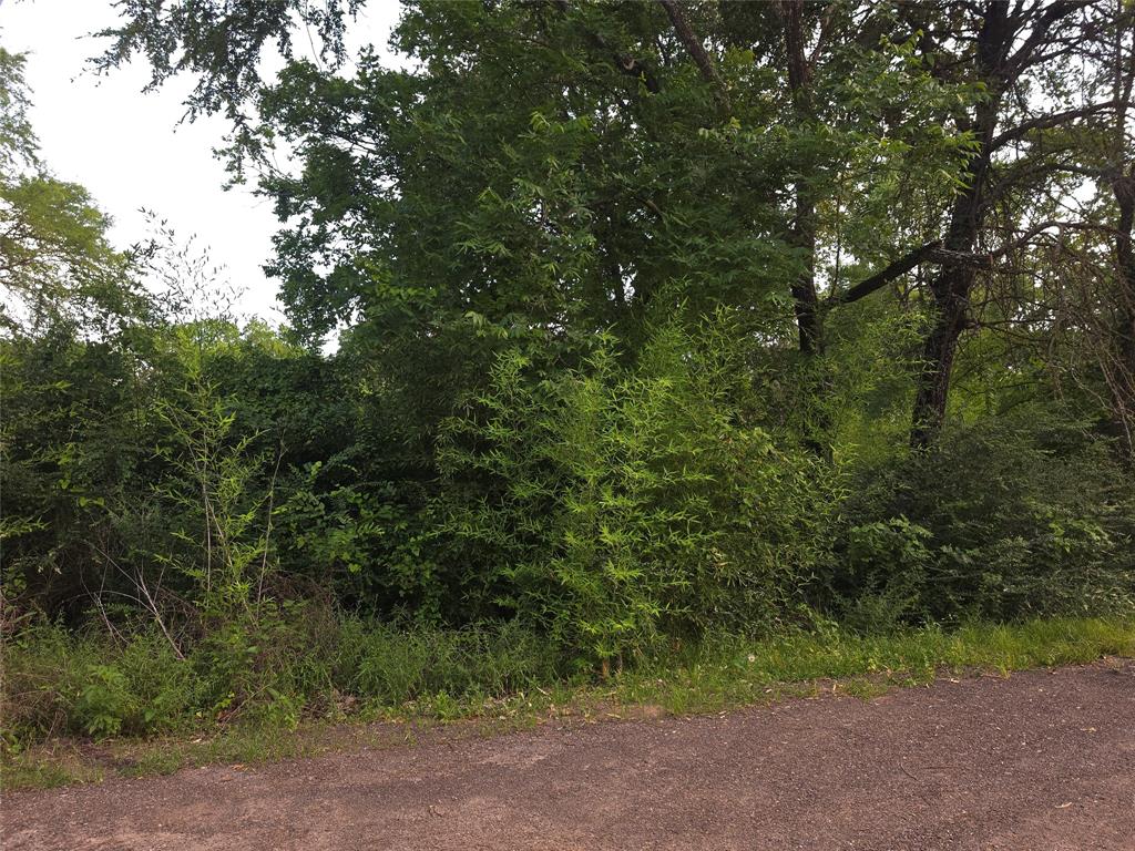 115 Abrams Road Property Photo 1