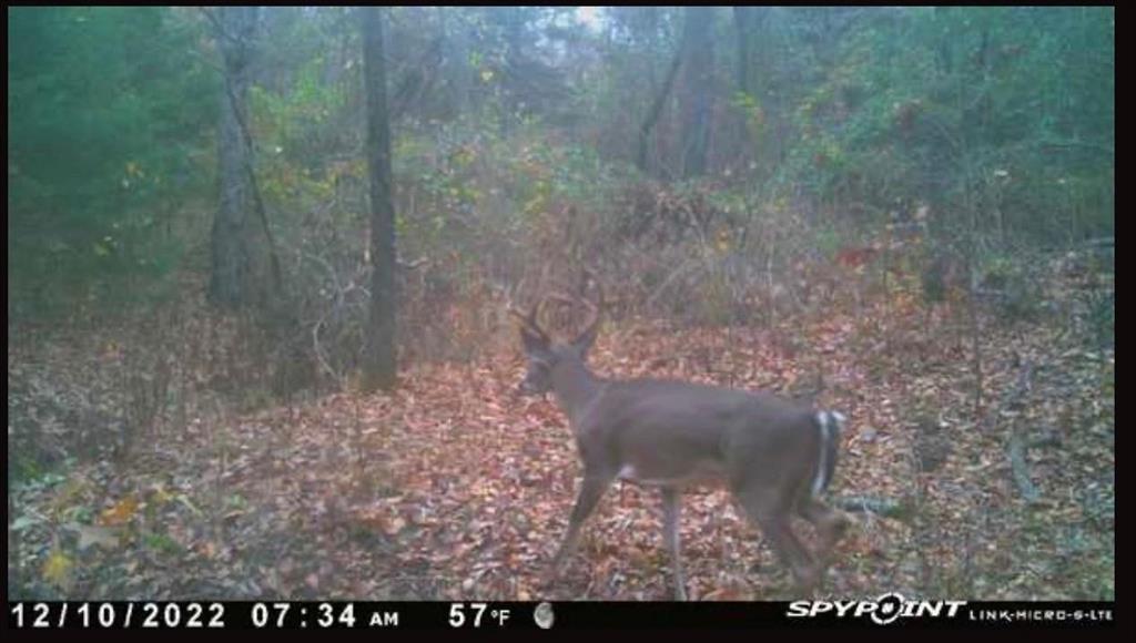 TBD County Road 2415