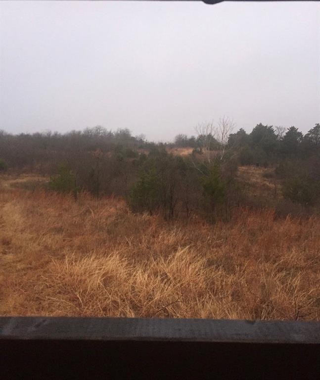 Tbd County Road 103 Property Photo 3
