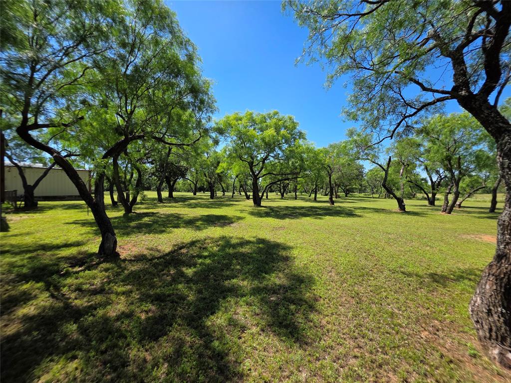 13915 County Road 237 Property Photo 15