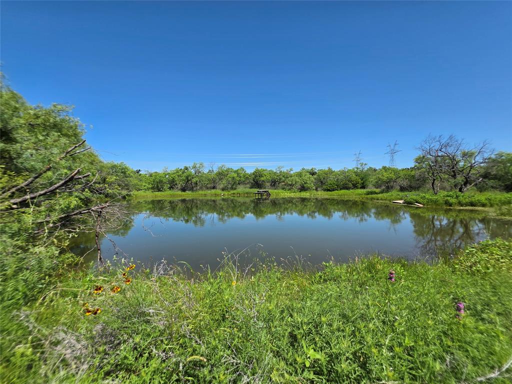 13915 County Road 237 Property Photo 16
