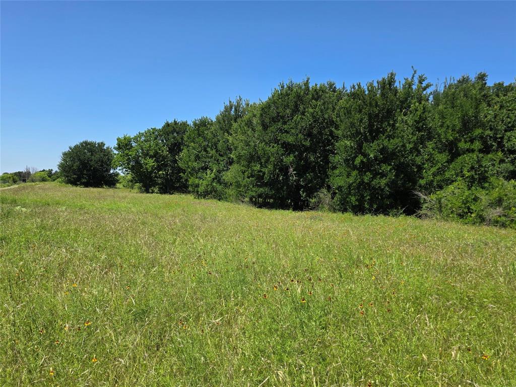 13915 County Road 237 Property Photo 17