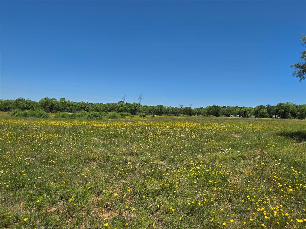 13915 County Road 237 Property Photo 34