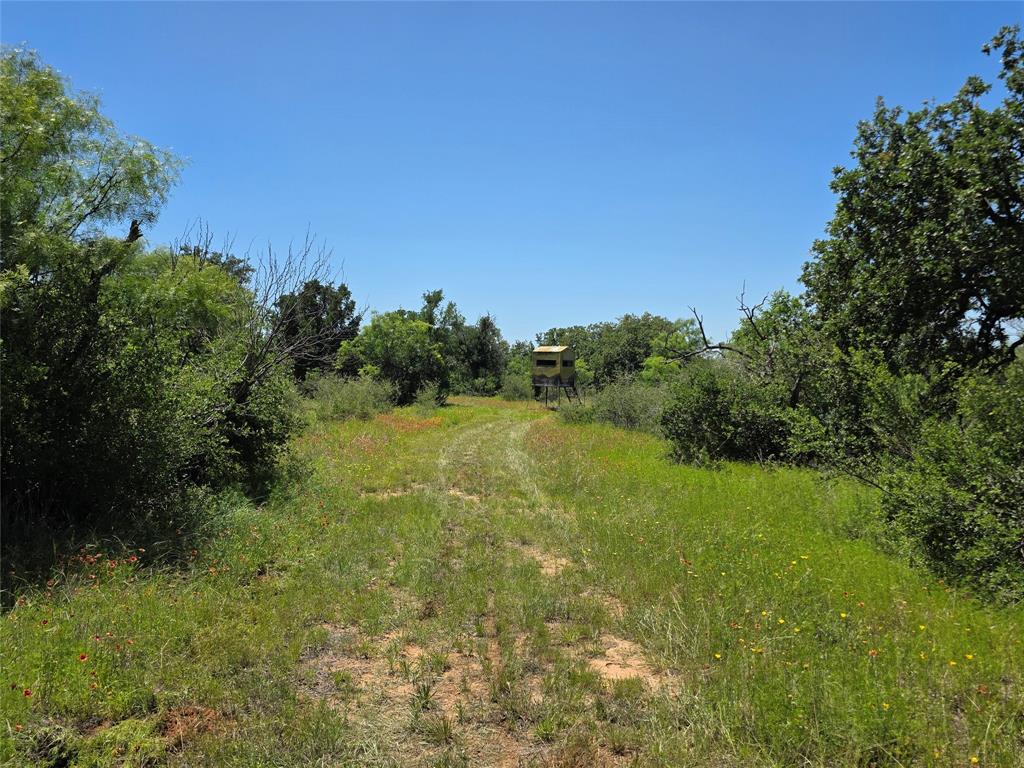 13915 County Road 237 Property Photo 38