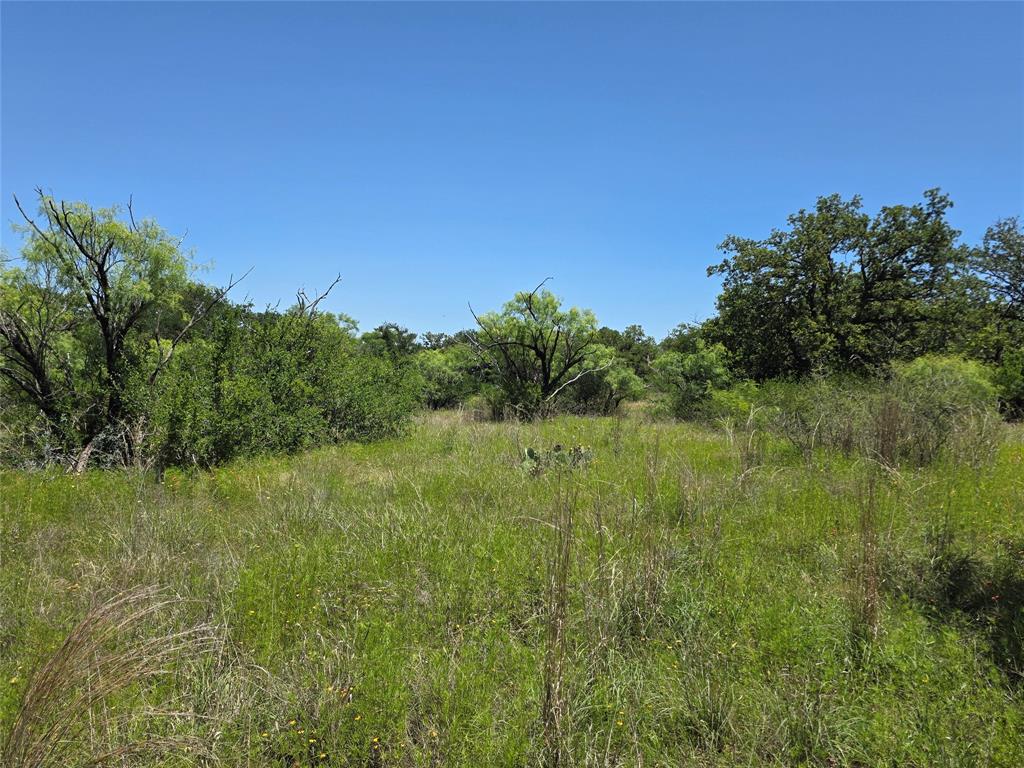 13915 County Road 237 Property Photo 40