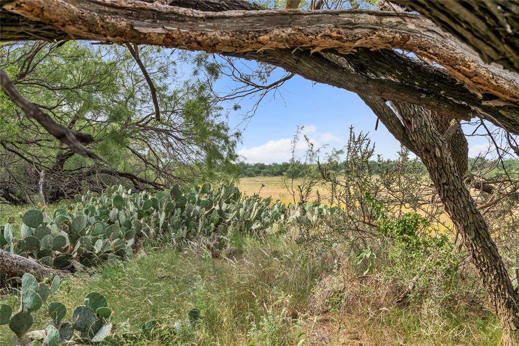 14175 State Highway 6 Property Photo 2