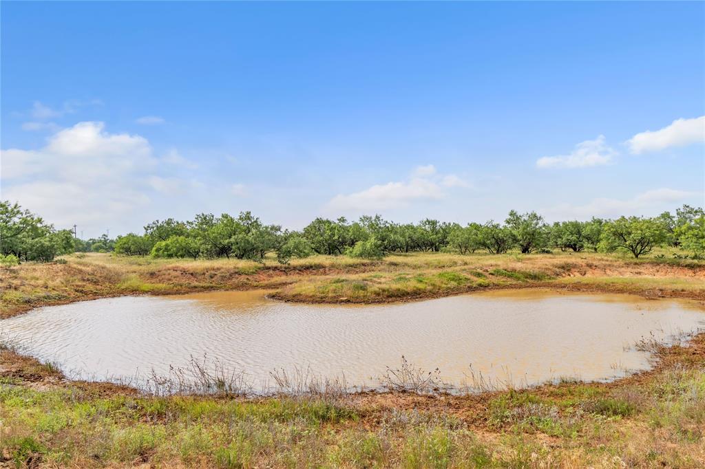 14175 State Highway 6 Property Photo 3