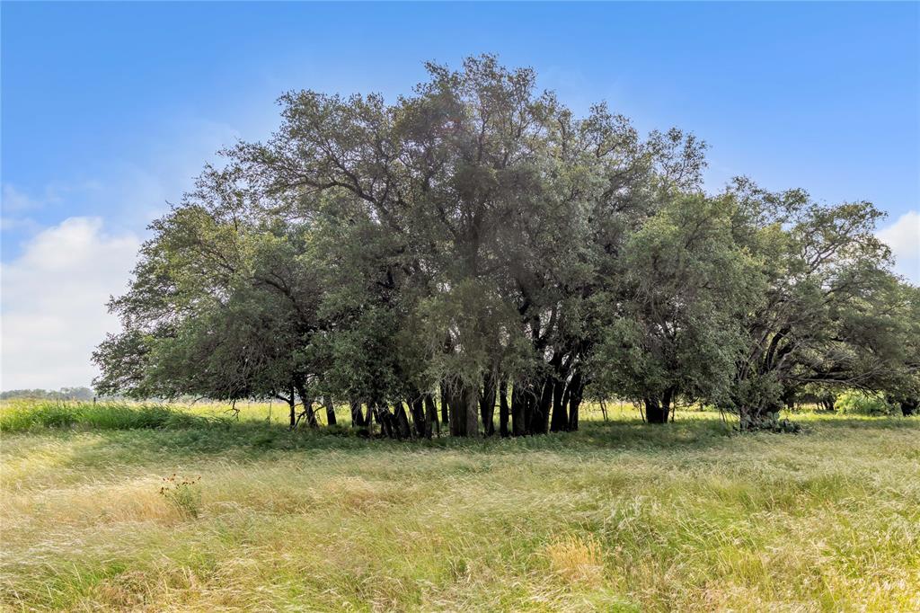 14175 State Highway 6 Property Photo 23