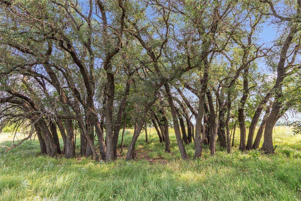 14175 State Highway 6 Property Photo 26