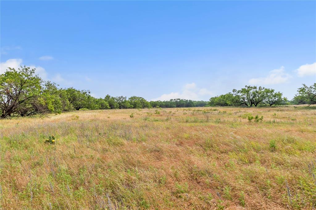 14175 State Highway 6 Property Photo 28