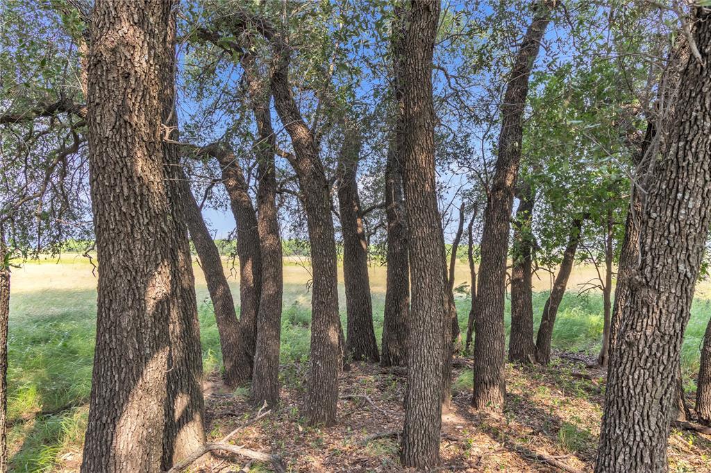 14175 State Highway 6 Property Photo 29