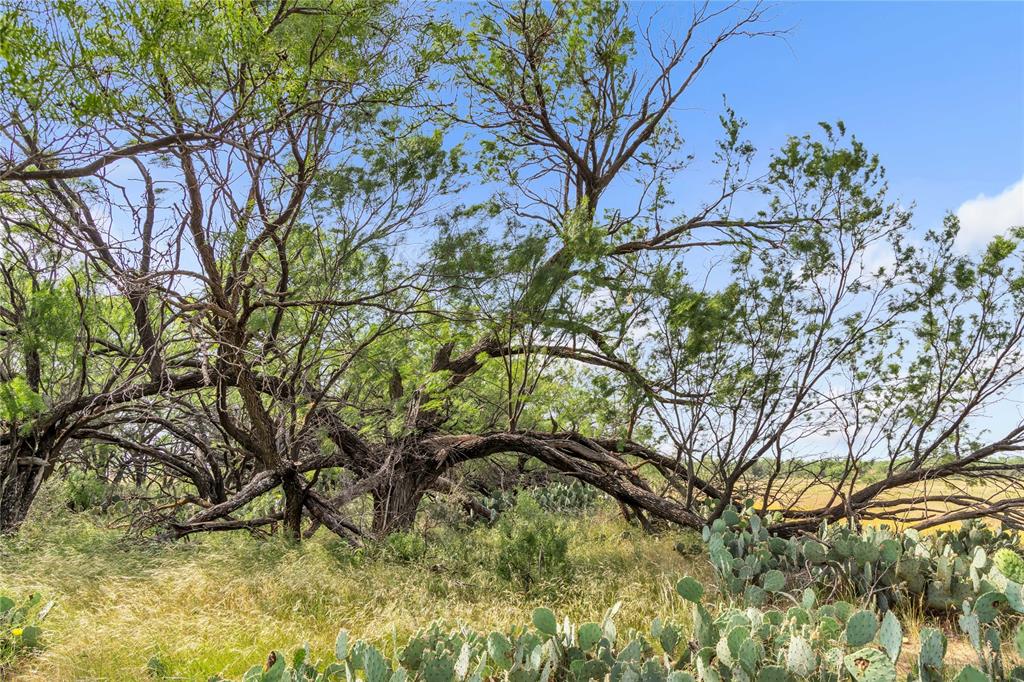 14175 State Highway 6 Property Photo 30