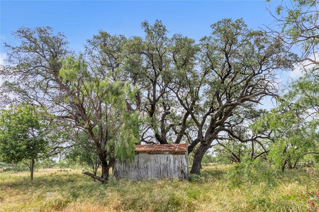 14175 State Highway 6 Property Photo 31