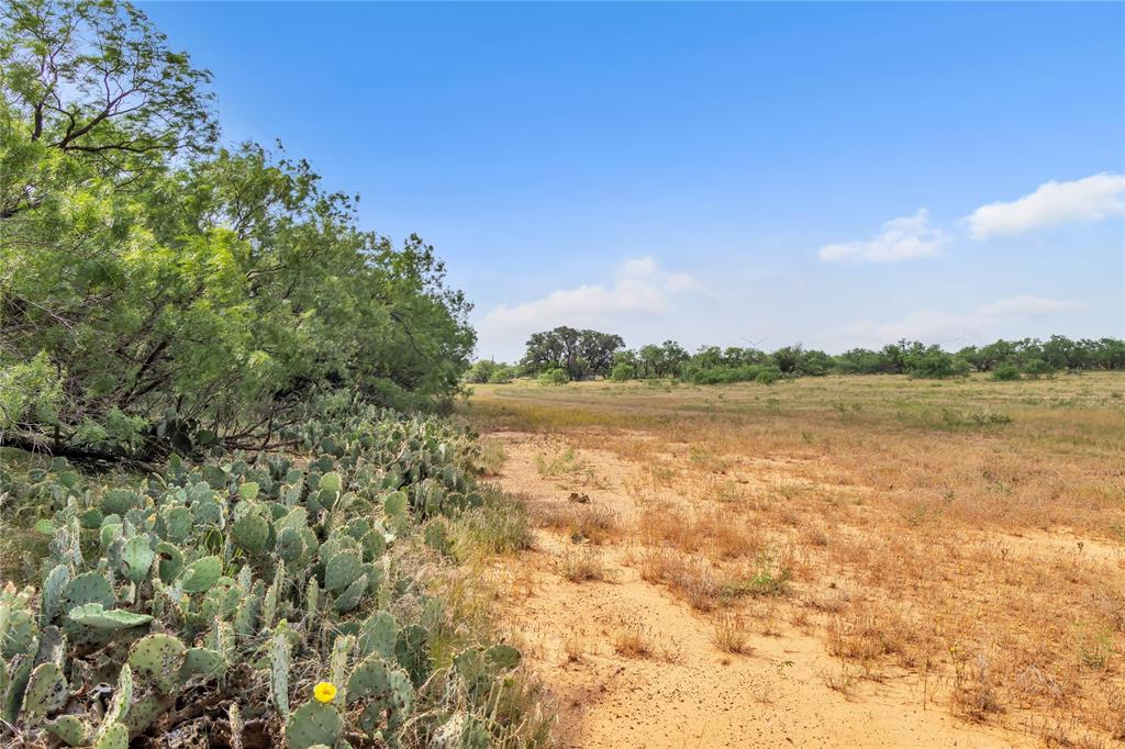 14175 State Highway 6 Property Photo 33