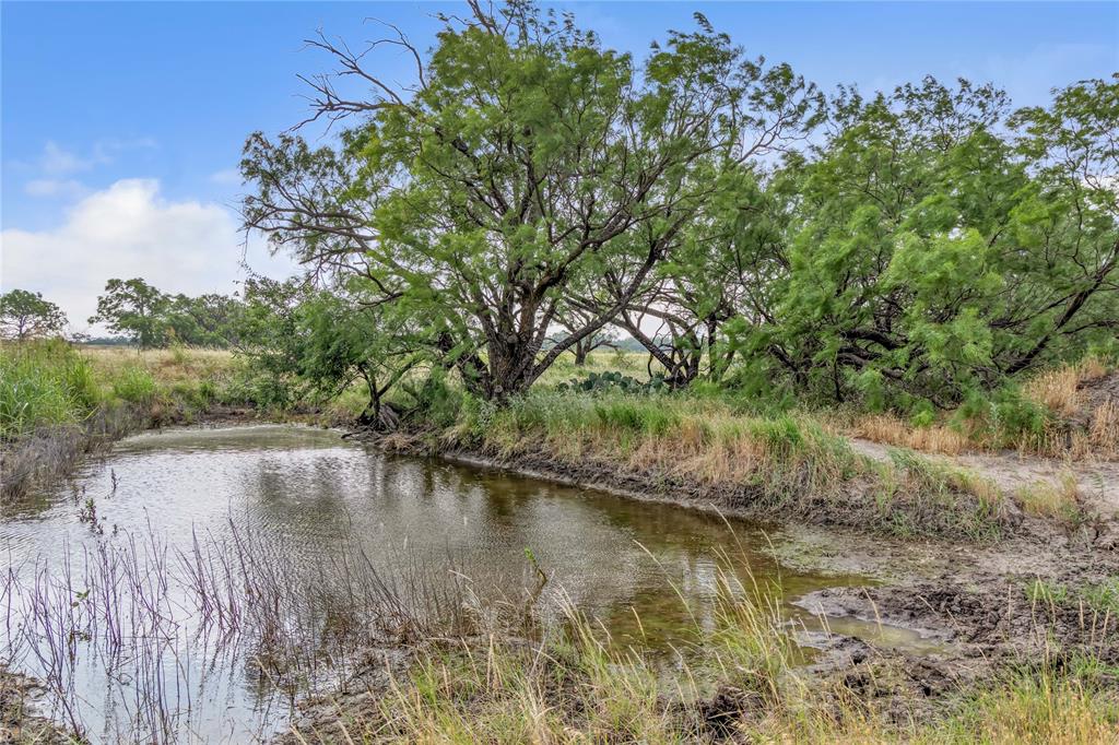 14175 State Highway 6 Property Photo 35
