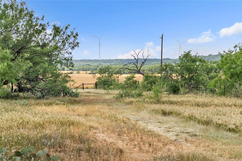 14175 State Highway 6 Property Photo 38