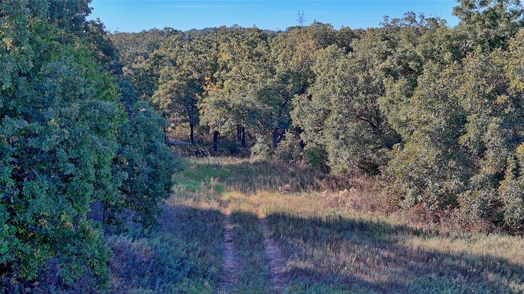 Tbd 4 Wire Road Property Photo 6