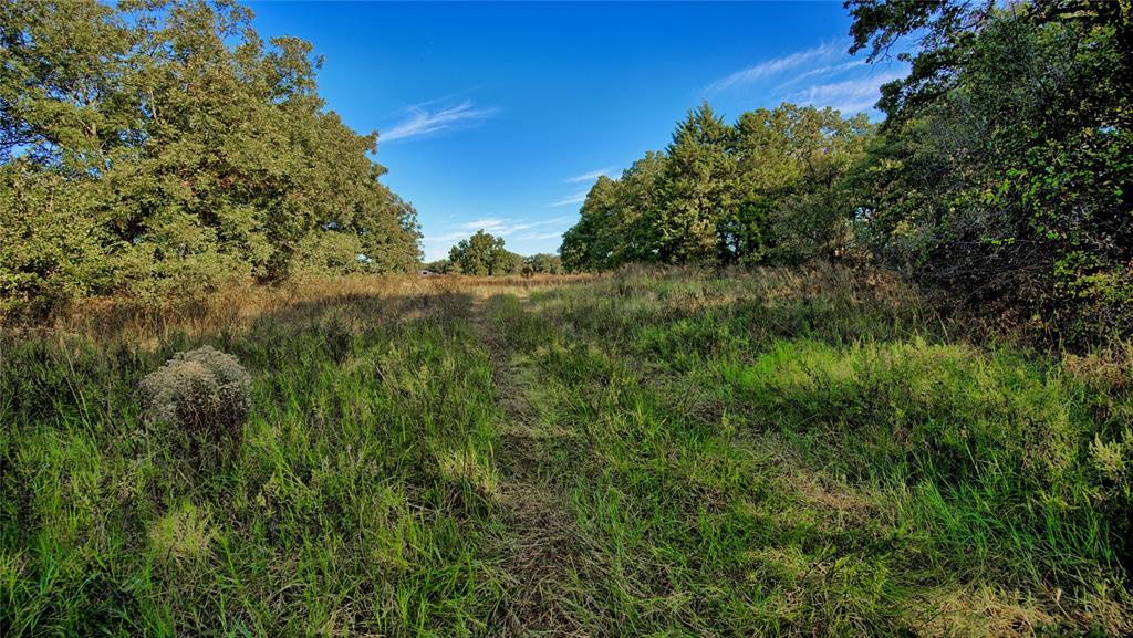 Tbd 4 Wire Road Property Photo 7