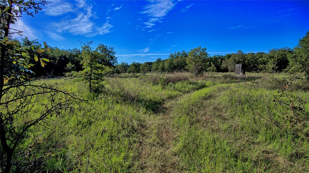 Tbd 4 Wire Road Property Photo 10