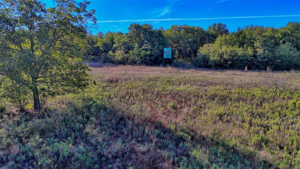 Tbd 4 Wire Road Property Photo 11