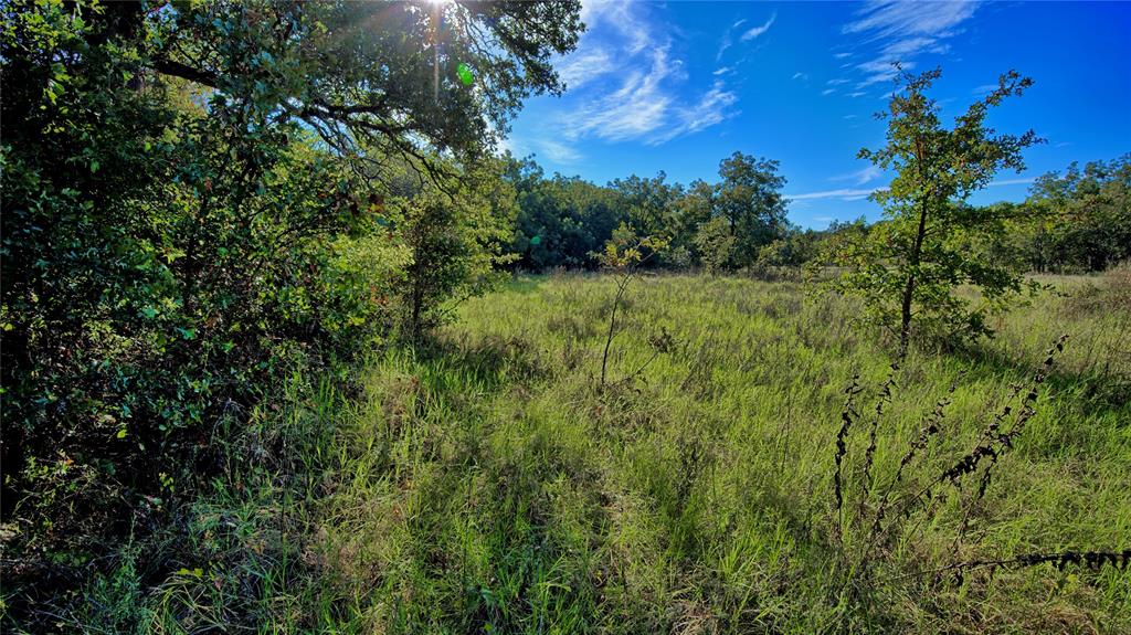 Tbd 4 Wire Road Property Photo 12