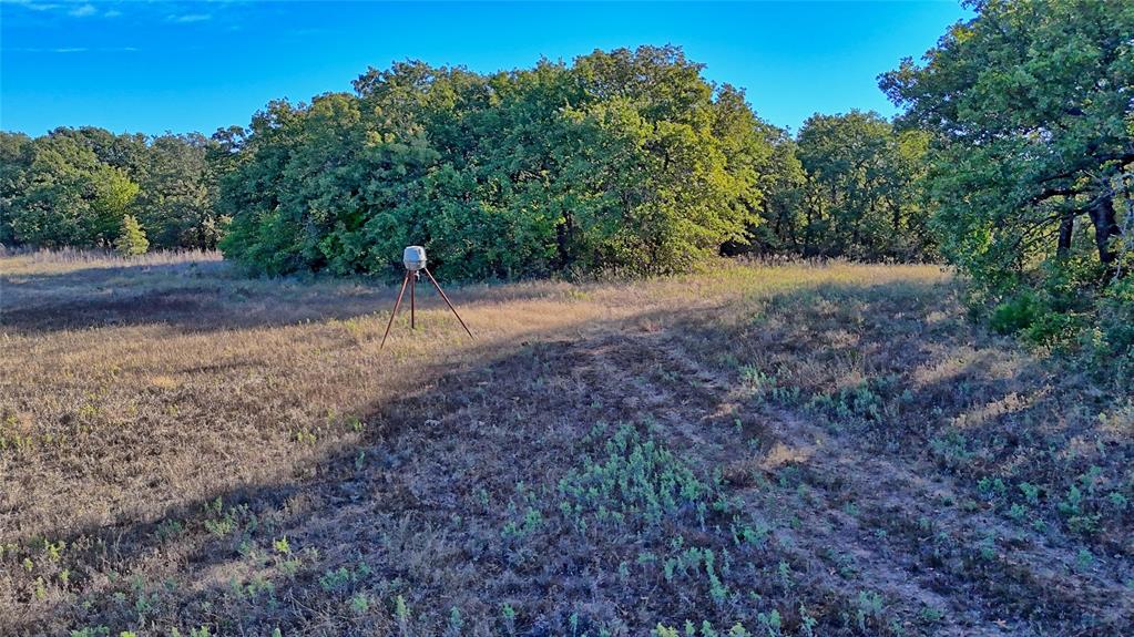 Tbd 4 Wire Road Property Photo 13
