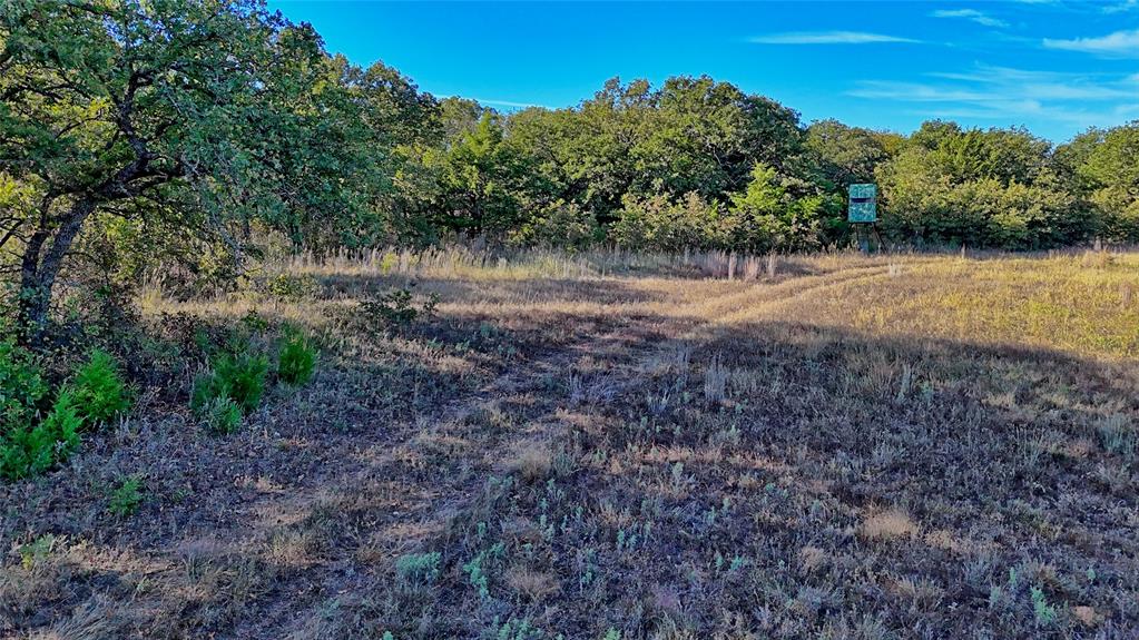 Tbd 4 Wire Road Property Photo 14