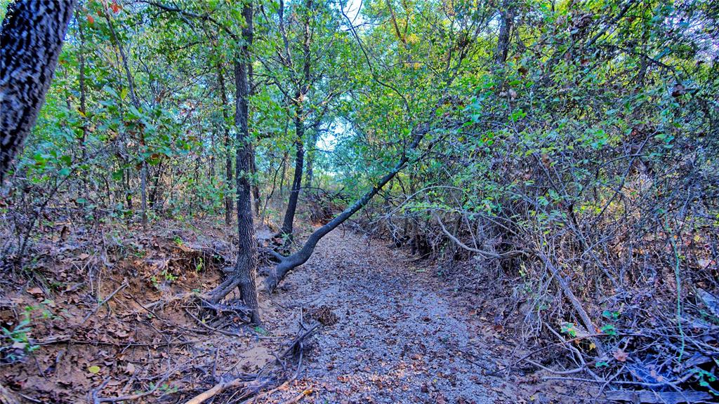 Tbd 4 Wire Road Property Photo 15