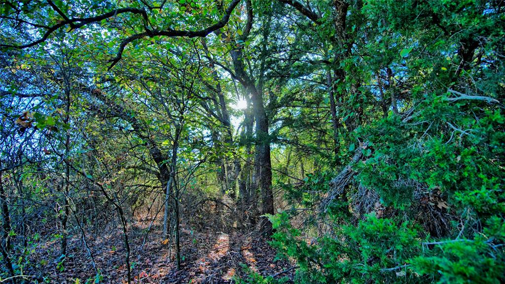 Tbd 4 Wire Road Property Photo 16