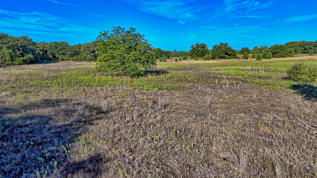Tbd 4 Wire Road Property Photo 20