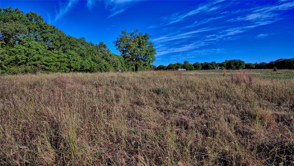 Tbd 4 Wire Road Property Photo 23