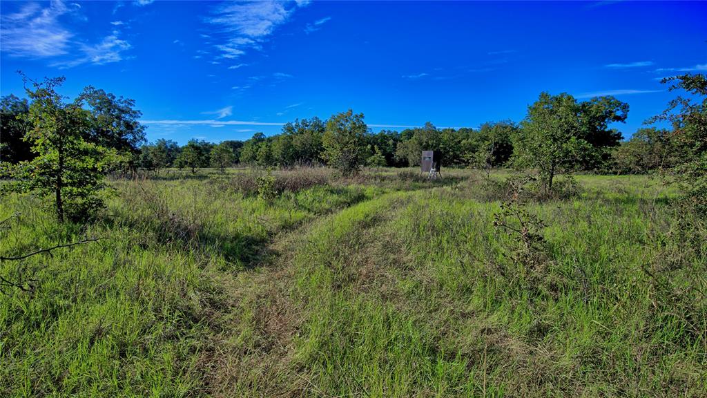 Tbd 4 Wire Road Property Photo 25