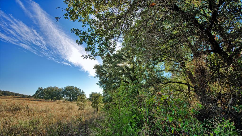 Tbd 4 Wire Road Property Photo 27