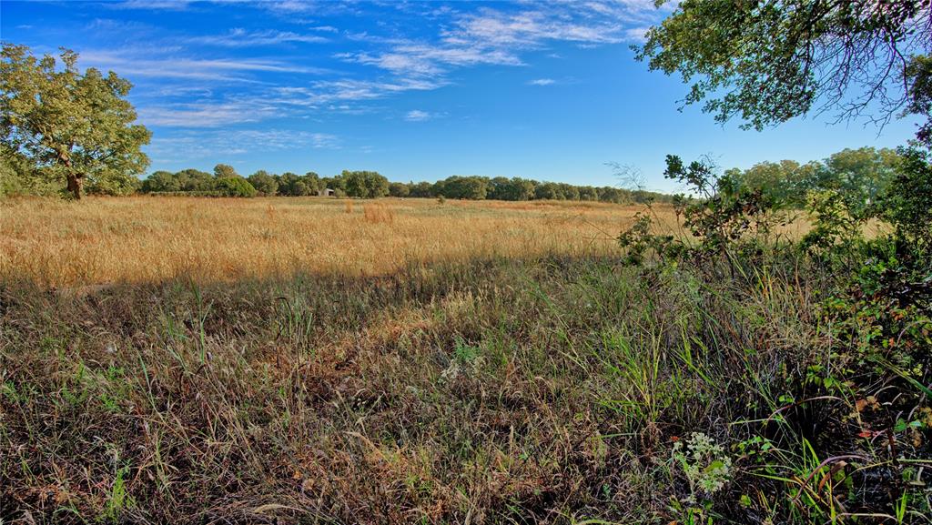 Tbd 4 Wire Road Property Photo 35