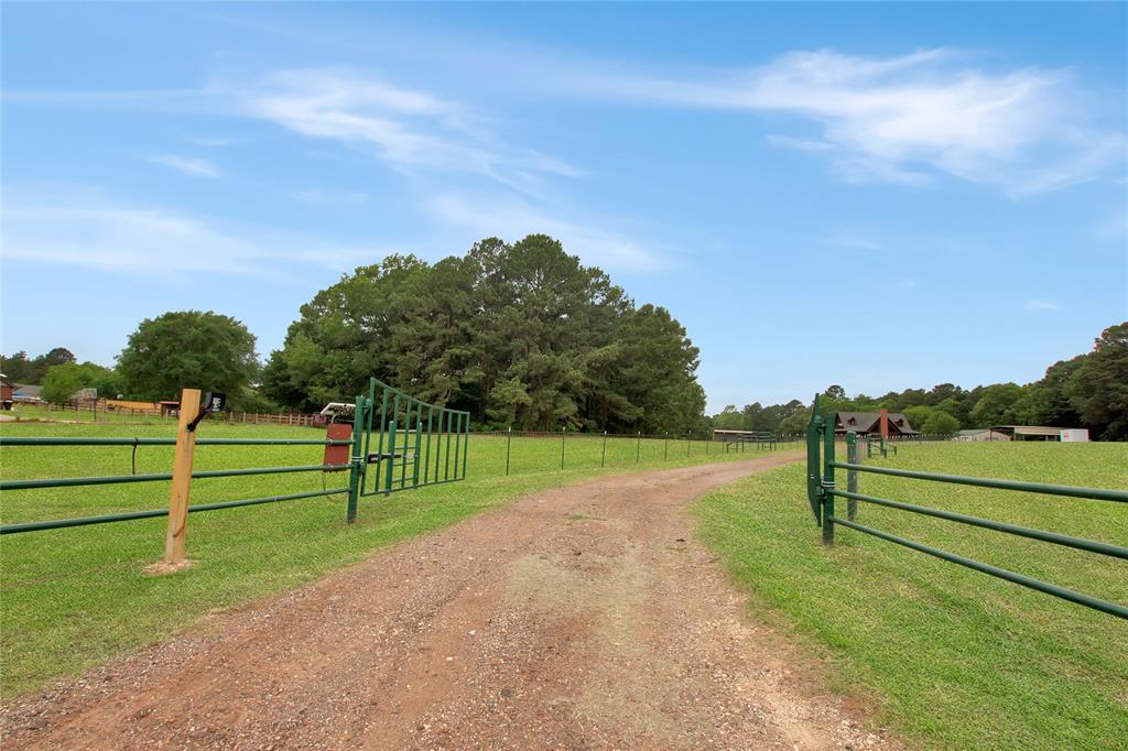 6233 Curtis Black Road Property Photo 32