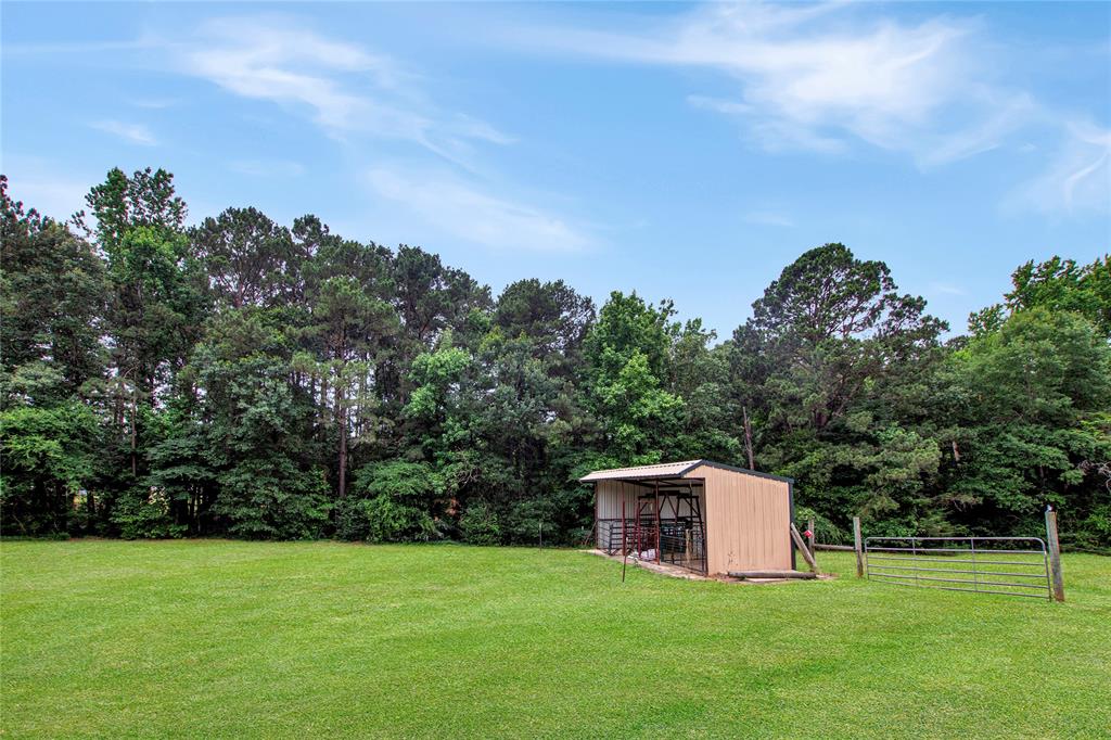 6233 Curtis Black Road Property Photo 33